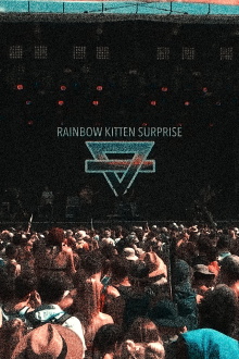 Rainbow Kitten Surprise at Bonnaroo Trailer