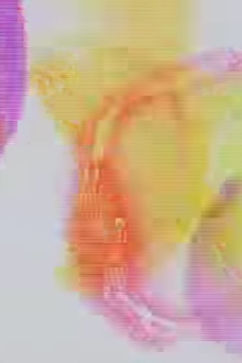 Rainbow Party Trailer
