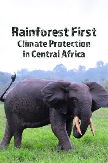 Rainforest First: Climate Protection in Central Africa Trailer