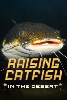 Raising Catfish in the Desert Trailer