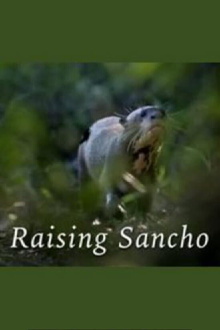 Raising Sancho Trailer