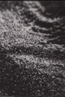 Re Dis Appearing Trailer