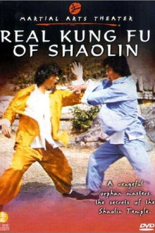 Real Kung Fu Of Shaolin Trailer