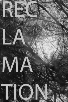 Reclamation Trailer