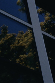 Recollection of a walk through Los Angeles Trailer