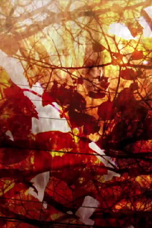 Recomposition Trailer