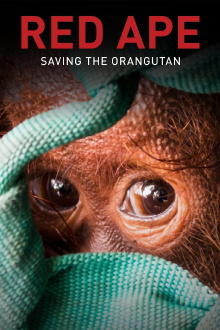 Red Ape: Saving the Orangutan Trailer