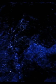 Red Desert Trailer