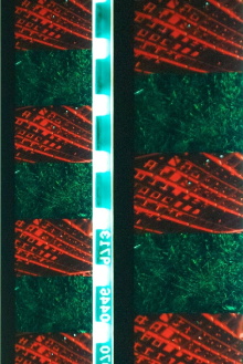 Red Green Trailer