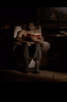 Red Rooster Trailer