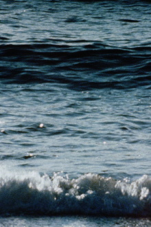 Red Sea Trailer