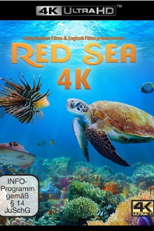 Red Sea Trailer