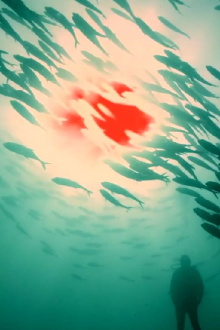 Red Sun Trailer