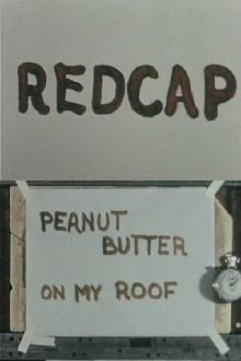 Redcap or Peanut Butter on My Roof Trailer