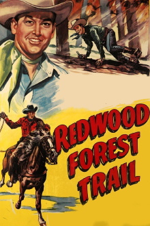 Redwood Forest Trail Trailer