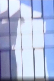 Reflection Trailer