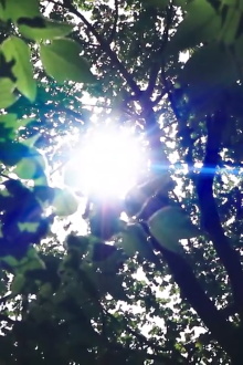 Reflections of Nature Trailer