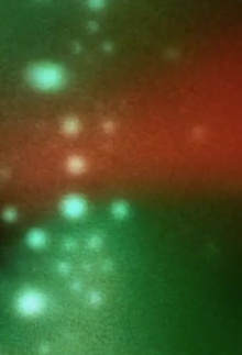 Reflex Trailer