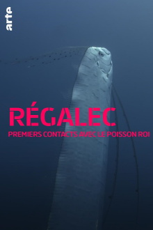 Régalec, premiers contacts avec le poisson roi Trailer
