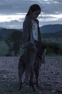 Regretfully At Dawn Trailer