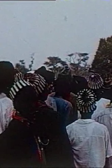 Réjouissances sénégalaises Trailer