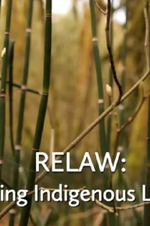 RELAW: Living Indigenous Laws Trailer