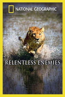 Relentless Enemies: Revealed Trailer
