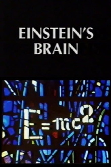 Relics: Einstein's Brain Trailer