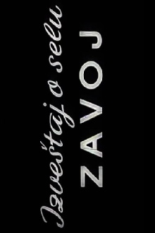 Report from the Zavoj Village Trailer