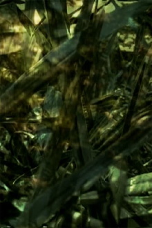 Reprieve Trailer