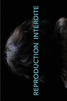Reproduction Interdite Trailer