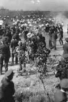 Republic Steel Strike Riots Newsreel Footage Trailer
