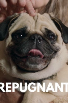Repugnant Trailer