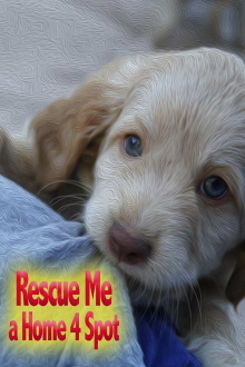 Rescue Me: A Home 4 Spot Trailer