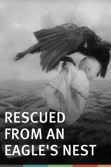 Rescued from an Eagle's Nest Trailer