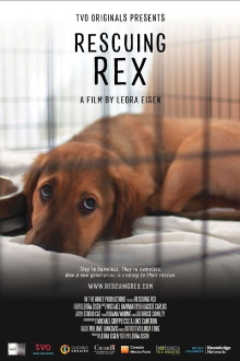 Rescuing Rex Trailer