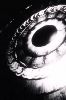 Retrospectroscope Trailer