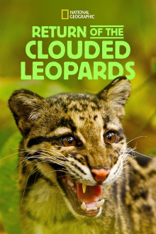 Return of the Clouded Leopards Trailer
