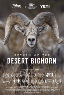 Return of the Desert Bighorn Trailer