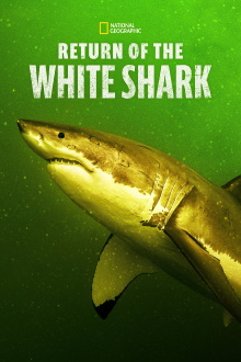 Return of the White Shark Trailer