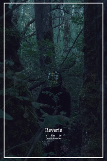 Reverie Trailer