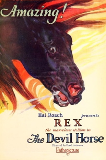 Rex the Devil Horse Trailer