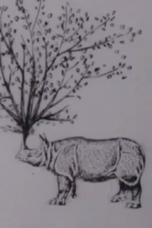 Rhinomorphose Trailer