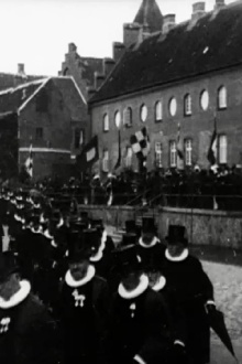 Ribe Cathedral Inauguration Trailer