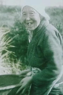 Rice Industry in Japan Trailer