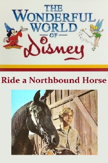 Ride a Northbound Horse Trailer