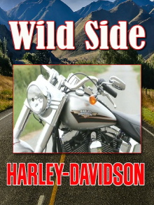 Ride On The Wild Side: Harley Davidson Trailer