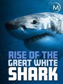 Rise Of The Great White Shark Trailer