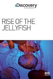 Rise of the Jellyfish Trailer