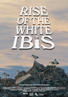 Rise of the White Ibis Trailer